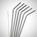 Reusable Drinking Straws - six pack