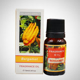 Essential Oils for Aromatherapy - Bergamot